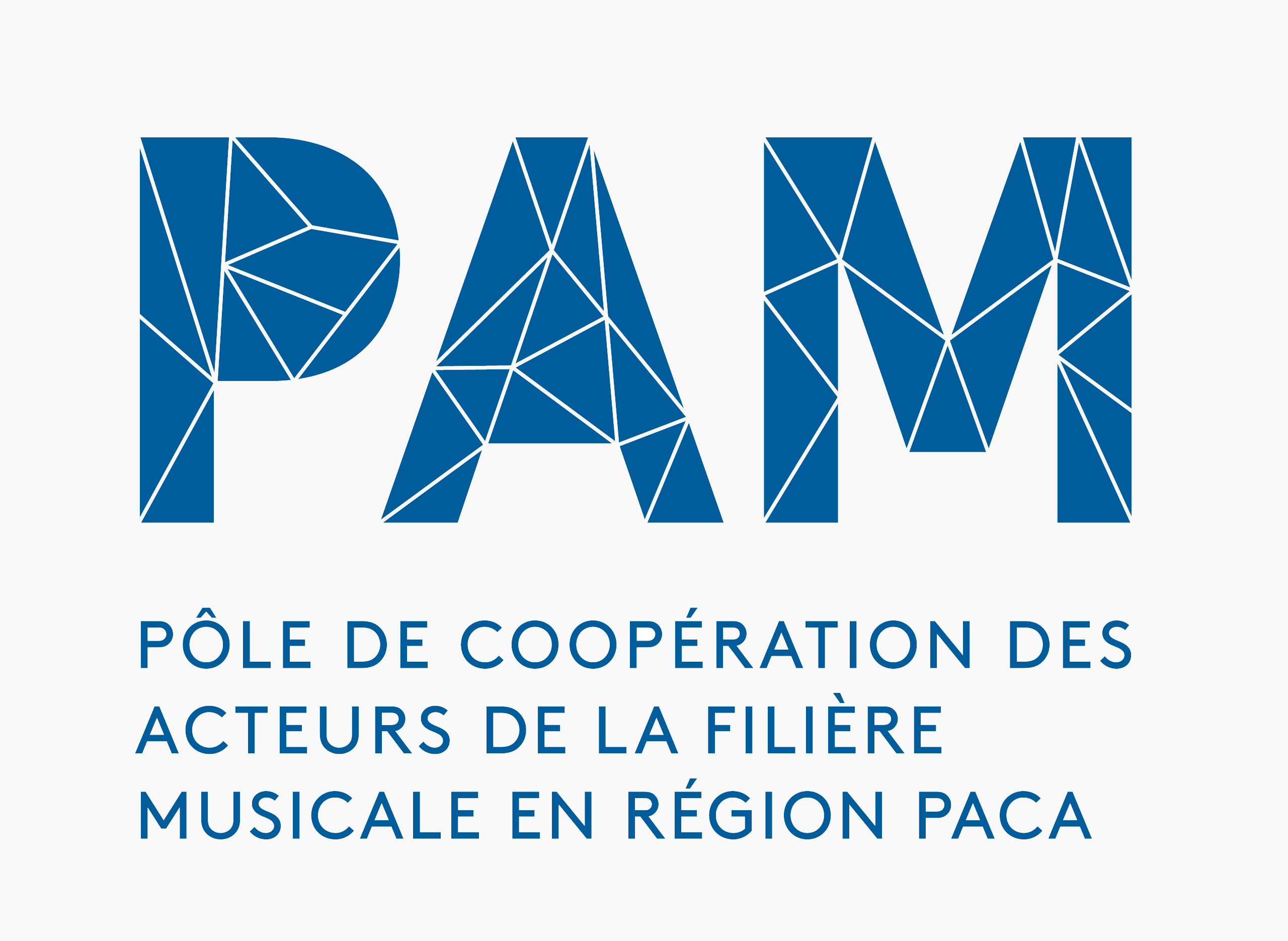 LOGO PAM